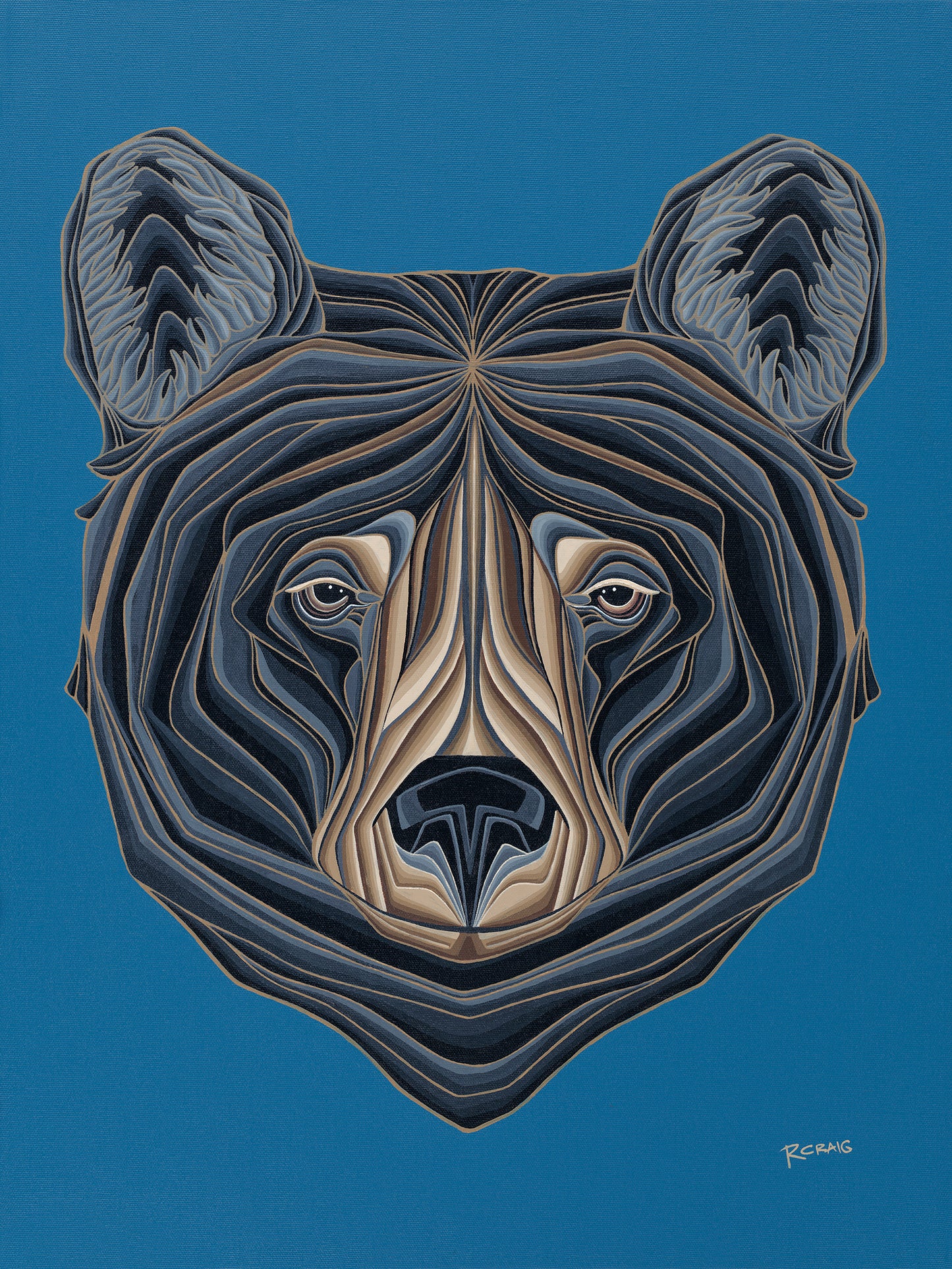 Portrait of a Black Bear