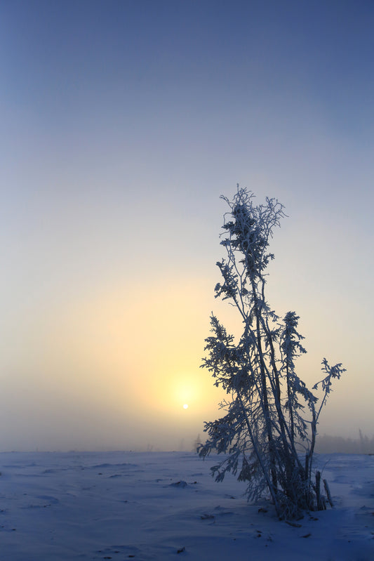 The Big Chill