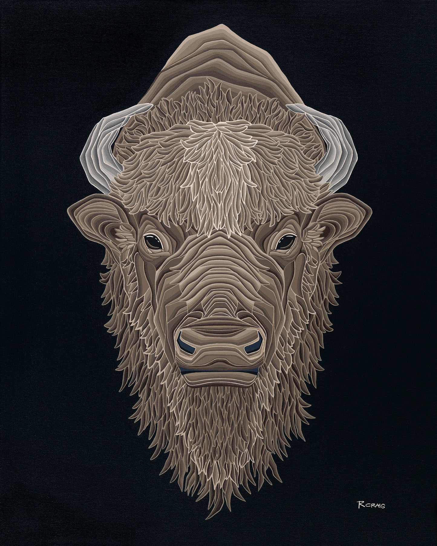 Bison Portrait