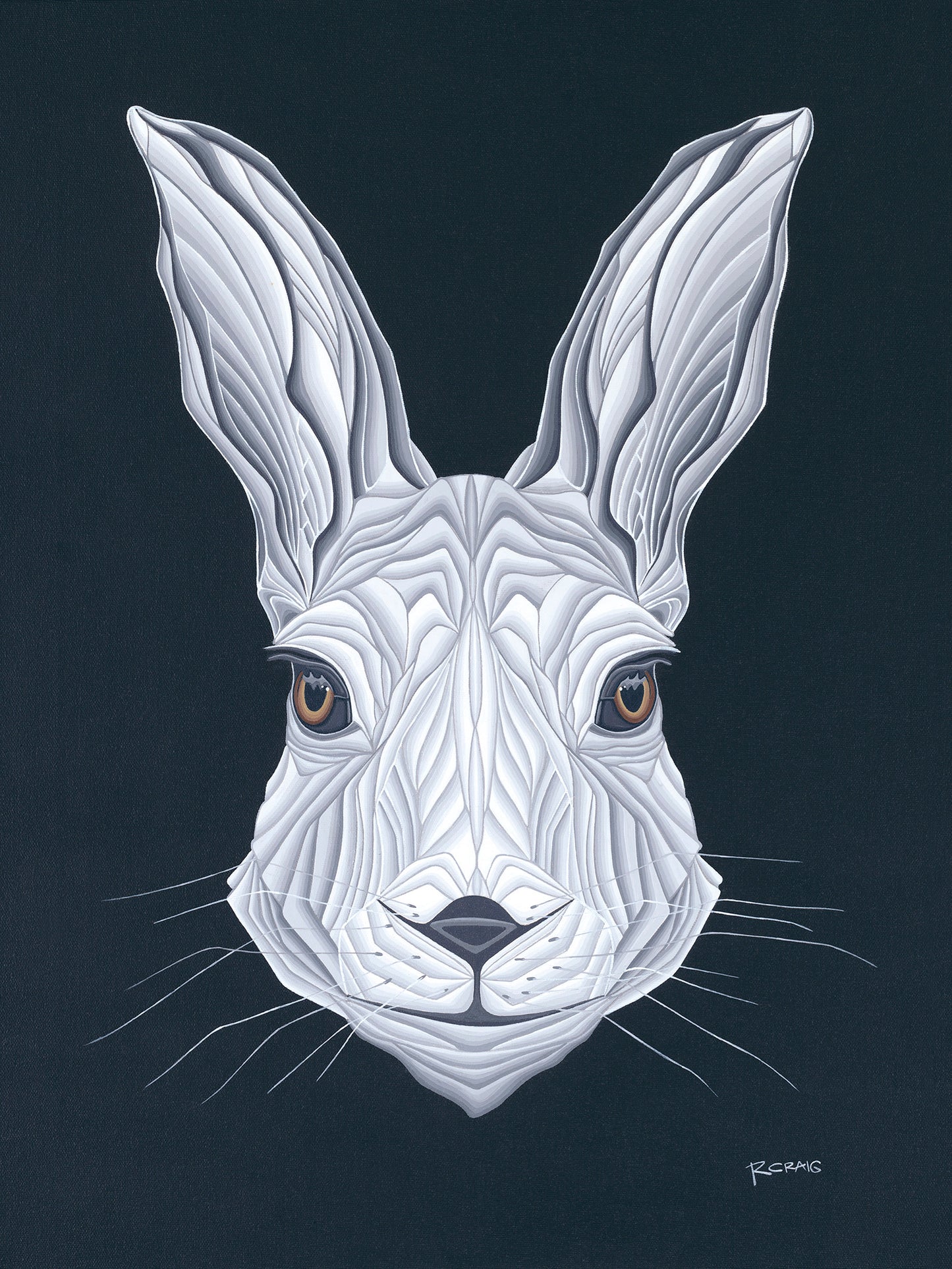 Northern Hare Portrait