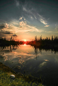 Northern Sunset
