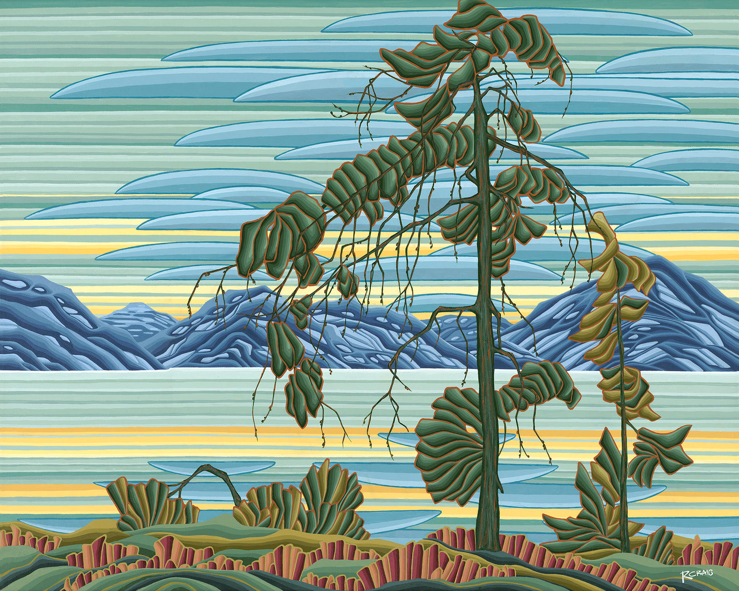 ‘The Jack Pines’