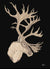 Caribou Portrait
