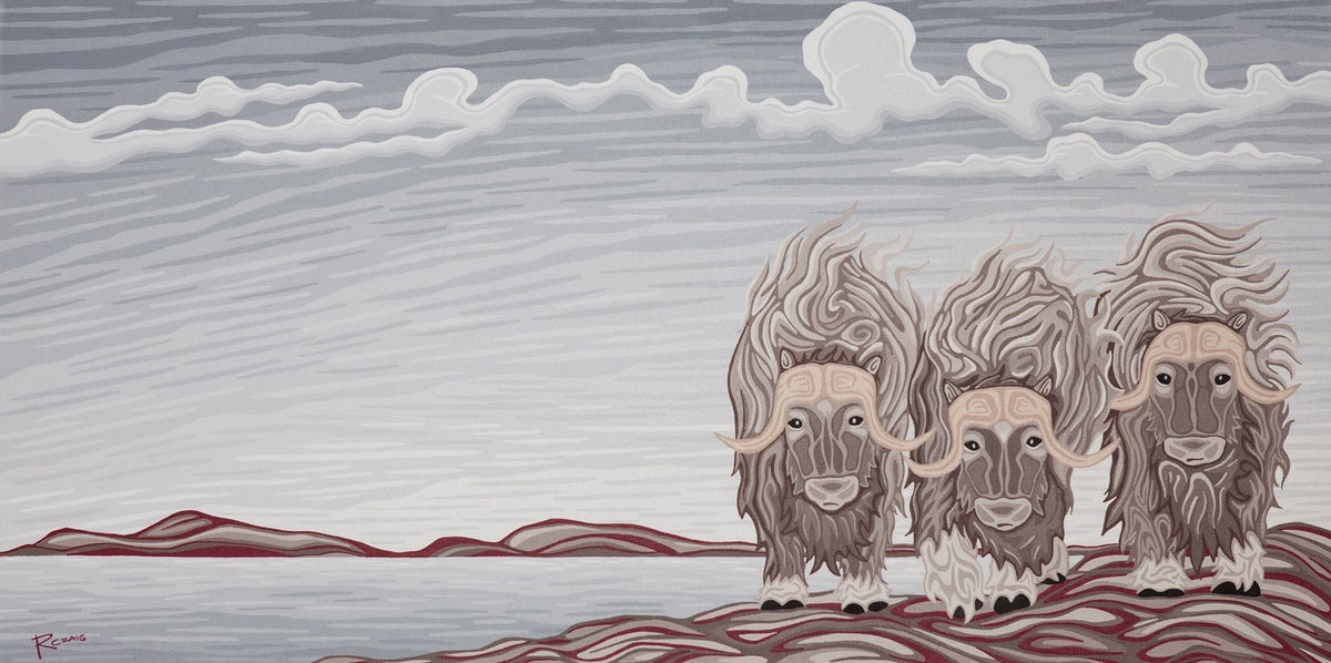 The Muskox